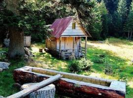 Domaćinstvo Pešića, hotel v destinaci Beran Selo