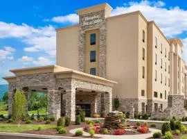 Hampton Inn & Suites Williamsport - Faxon Exit, hotel v destinácii Williamsport