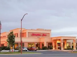 Hampton Inn Montrose, hotel din Montrose