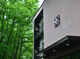Boutique Hotel Lyulyak