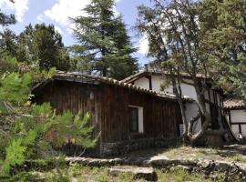 ホテル写真: La cabaña del Burguillo