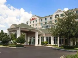 Hilton Garden Inn Tampa North