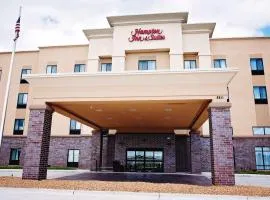 Hampton Inn & Suites Des Moines/Urbandale Ia