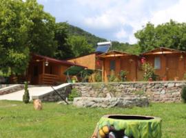 Cabanutele La Denisa, hotel in Dubova