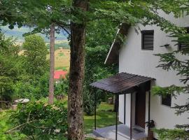 Kuća za odmor Iva, hotel en Lič