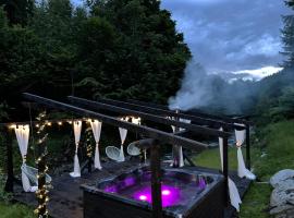 Pensiunea Flora, hotel in Cîrţişoara