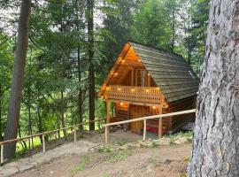 Cosy Mary Chalet, hotel em Vişeu de Sus