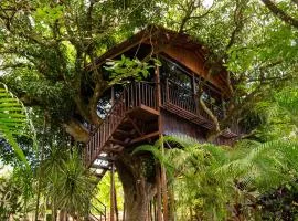 Hotel Heliconias Nature Inn & Hot Springs