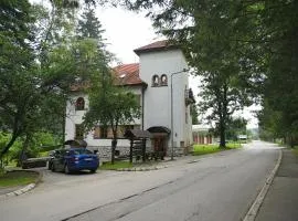 Garni Hotel Vila Drina
