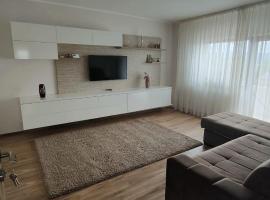 A picture of the hotel: Apartament 2 camere