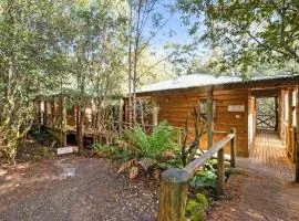 Cradle forest inn