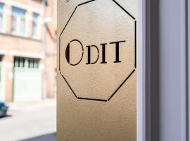 酒店照片: Odit