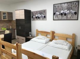 A picture of the hotel: Tó-Party Apartman