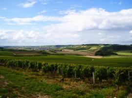 호텔 사진: Pause nature à la ferme, campagne viticole