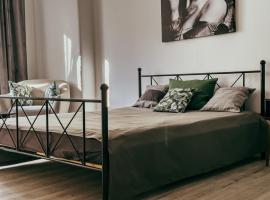 Hotel fotografie: Cozy Apartment in the Heart of Cluj Napoca