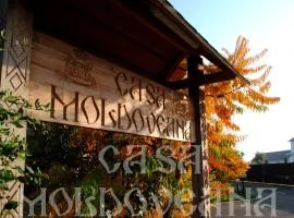 Pensiunea CASA MOLDOVEANA, hotel in Piatra Neamţ