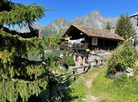 Фотография гостиницы: Rifugio Guide Frachey