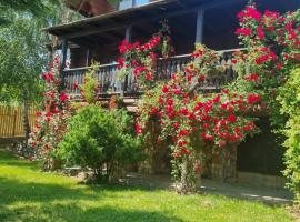 Cabana Haiducului, hotell sihtkohas Soveja