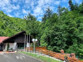 Fotos de Hotel: Villa Izvor Čabranke