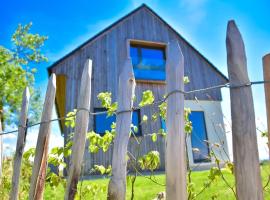 होटल की एक तस्वीर: Hisa Vukan - Eco House in middle of vineyard with Sauna!