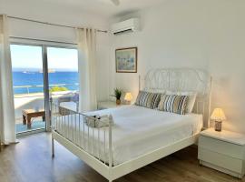 Hotel foto: Seaview Beach Apartment Dasoudi