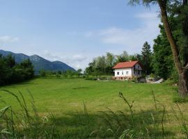 A picture of the hotel: Apartments Leni