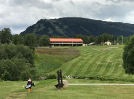 Ljusnedal lägenhet med golf, paddel, fiske och skidåkning, hotel in Ljusnedal