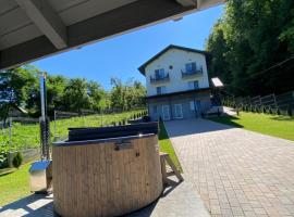 Casa Dumitru 2, hotel in Valea Borului