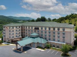 Hotel fotografie: Hilton Garden Inn Roanoke