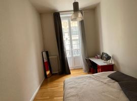 Hotel Photo: Saint-Louis : Saint-Étienne appart de 125 m2 centre-ville 4 chambres,4 lits king size