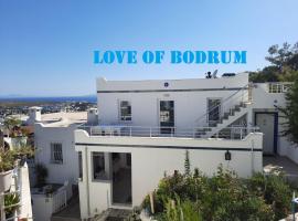 Фотографія готелю: Love of Bodrum House