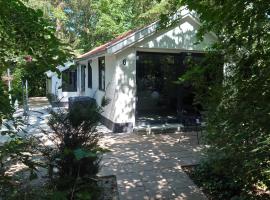 Relaxed Luxe "Boszichthuisje" met Jacuzzi Bospark Ijsselheide Hattemerbroek,位于Hattemerbroek的酒店