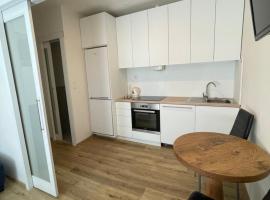 Vintage Apartment Ostrava center city, hotel v Ostravě