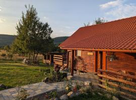 Hotel fotoğraf: Cabana Nyiko cu ciubăr