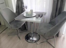 صور الفندق: City lux square apartment Skopje