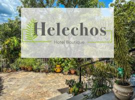 ホテル写真: Helechos Hotel