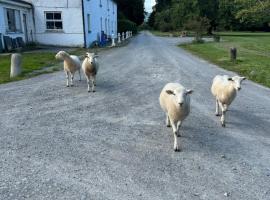 Foto do Hotel: Gurteen farm house