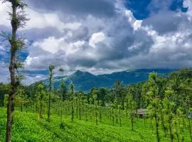 Ende Wayanad Resort