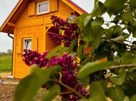 Hotel fotoğraf: Islandzka chatka