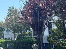 Ellery Hotel Provincetown