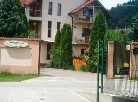 Casa de Vacanta Eva