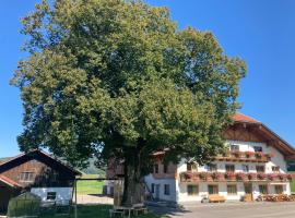 Fotos de Hotel: Biohof-Feichtinger