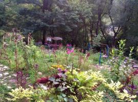 Lola, ξενοδοχείο σε Ambrolauri