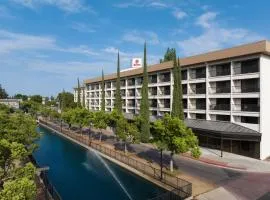 Hilton Stockton