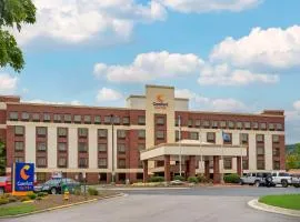 Comfort Suites Outlet Center, hotel in Asheville