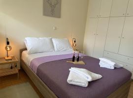 Foto di Hotel: LY Deluxe Apartment Athens