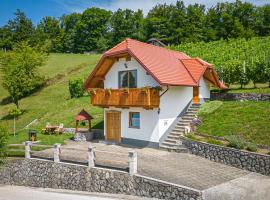 Hotel Foto: Vineyard Cottage Krivic - Happy Rentals