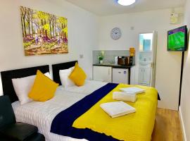 Foto do Hotel: London Studio Apartments Close to Station NP2