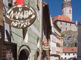 Hotel U Malého Vitka, hotel v destinaci Český Krumlov