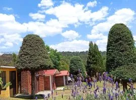Finca Marix, Villa del Carbón